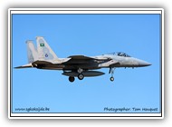 F-15C Saudi AF 205